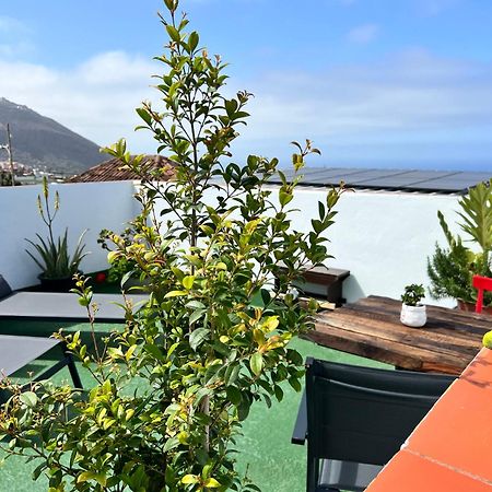 The Little Brezo Stone Home Tenerife Los Realejos Ngoại thất bức ảnh