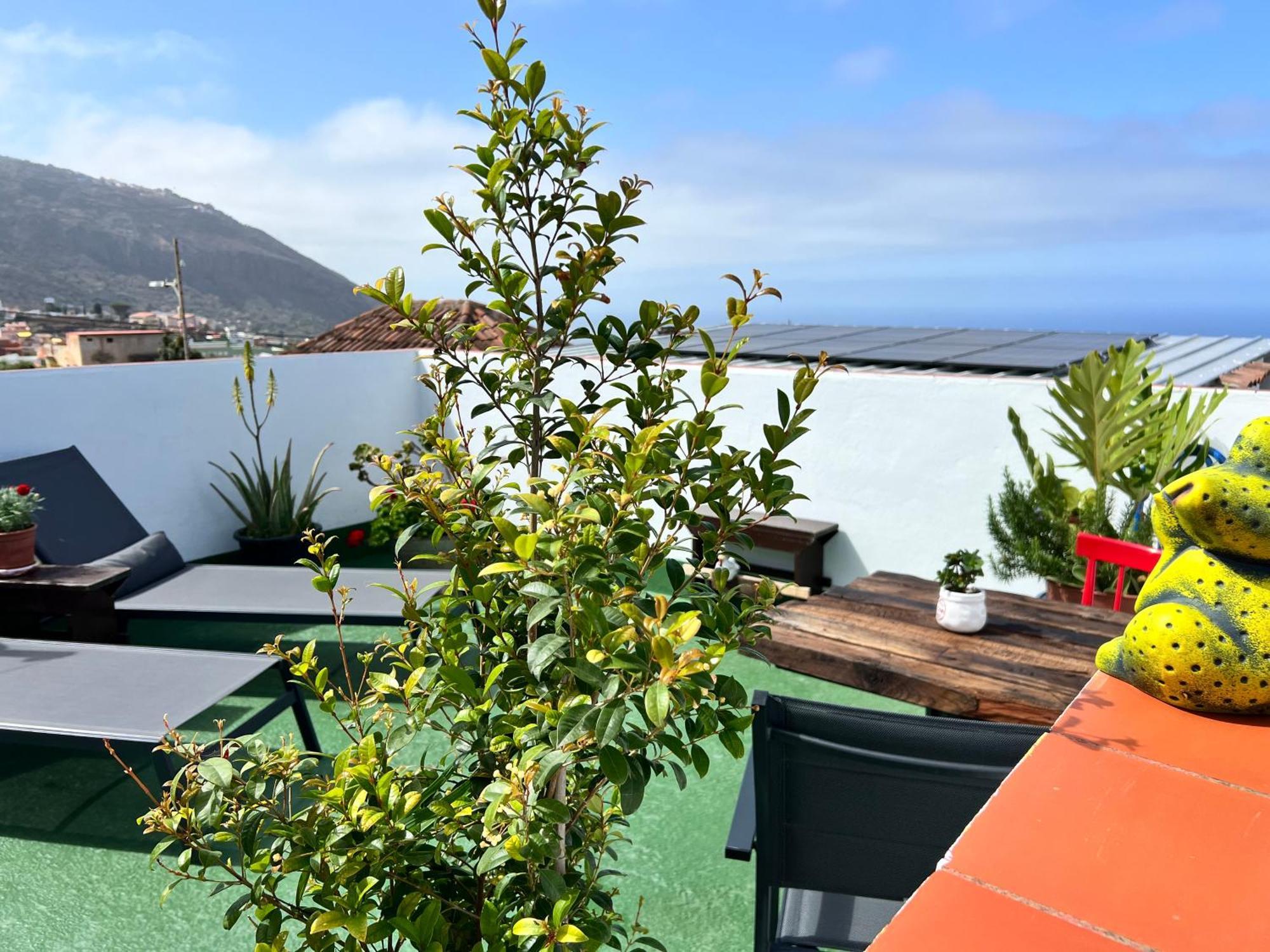 The Little Brezo Stone Home Tenerife Los Realejos Ngoại thất bức ảnh